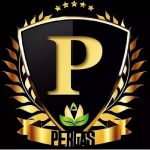 شرکت سرمایه گذاری پسته پرگاس نوبری